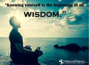 Beginning Quotes - A New Beginning - Quotes on New Beginnings - Quote - evidentally, the process of Knowing-Yourself-Beginning of all Wisdom-Aristotle