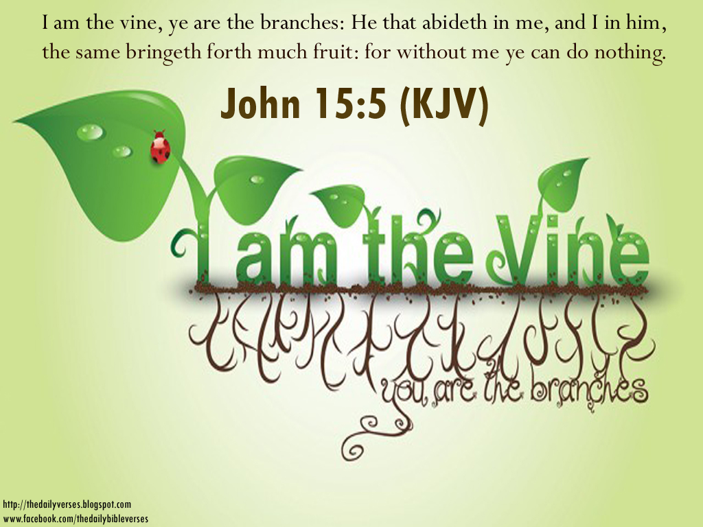 Bible-Verses-from-King-James-Version-–-Quotes-–-Messages-–-Scriptures-–-Passages-Words-I-am-the-vine-ye-are-the-branches