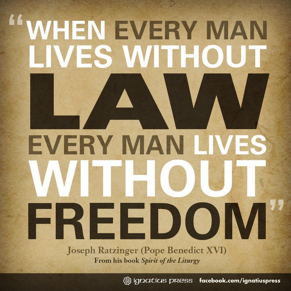Great Lawyer Quotes QuotesGram great-lawyer-quotes-quotesgram