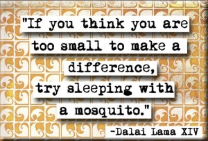 dalai-lama-quote-about-thinking-that-you-are-too-small-to-make-a-big-difference