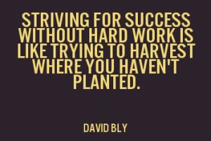 david-bly-on-striving-for-success
