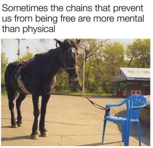 The things that hold you back in life are all in your mind. If you can positively control your in all circumstances, nothing else would hinder you from successful walk to the victory point of your existence. 