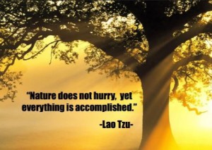 lao-tzu-image-quote-about-nature
