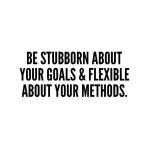 never-give-up-on-your-goals-if-things-arent-working-our-change-your-methods