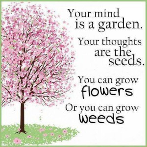 your-mind-is-a-garden-positive-image-quote