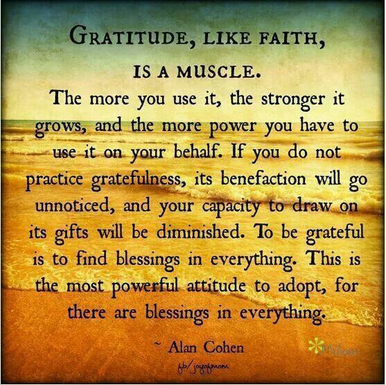 Alan Cohen inspirational quote about practicing gratefulness counting your blessings having the spirit of gratitude attitude faith blessings inspiring thankfulness images and quotes