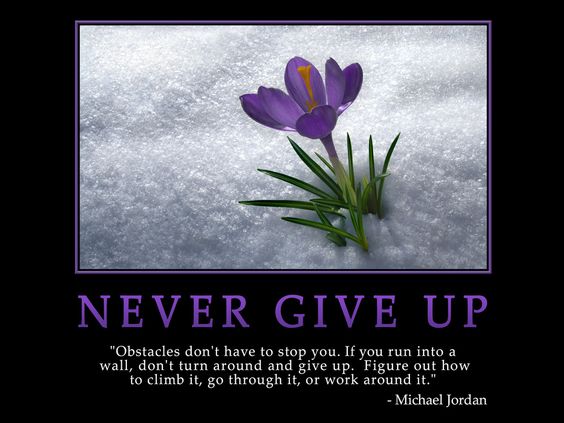 hardship quotes and images about not giving up with yourself obstacles challenges never give up in hard times quote and image